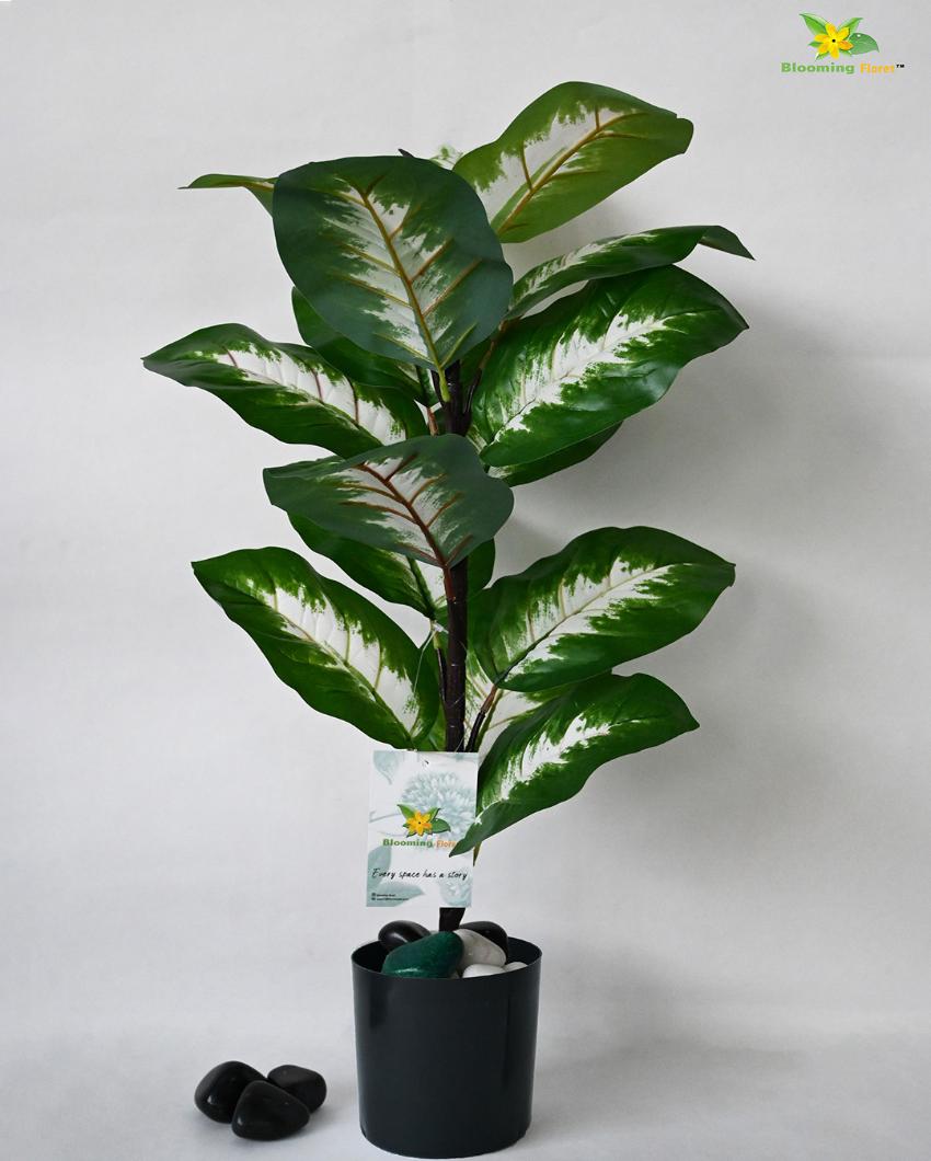 Camille Dieffenbachia Artificial Plant with Pot | 15 Leaves | 2 feet