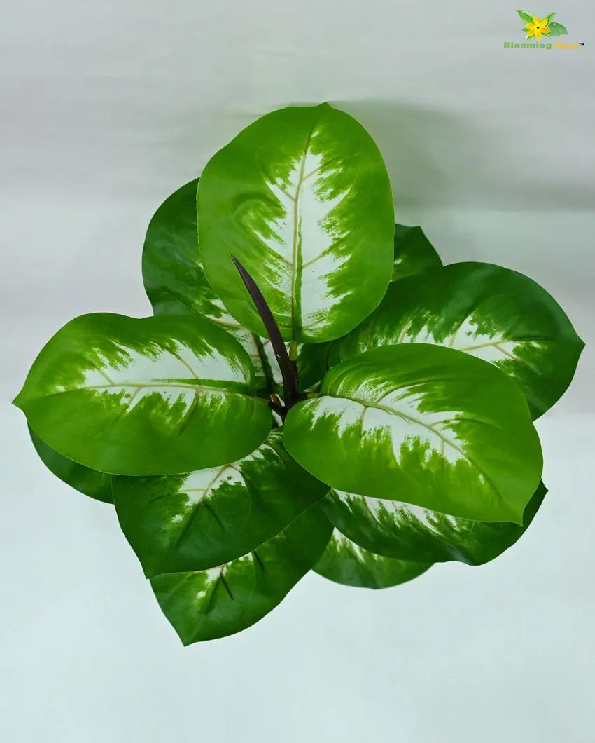 Camille Dieffenbachia Artificial Plant with Pot | 15 Leaves | 2 feet