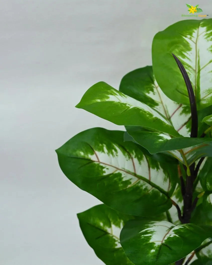 Camille Dieffenbachia Artificial Plant with Pot | 15 Leaves | 2 feet