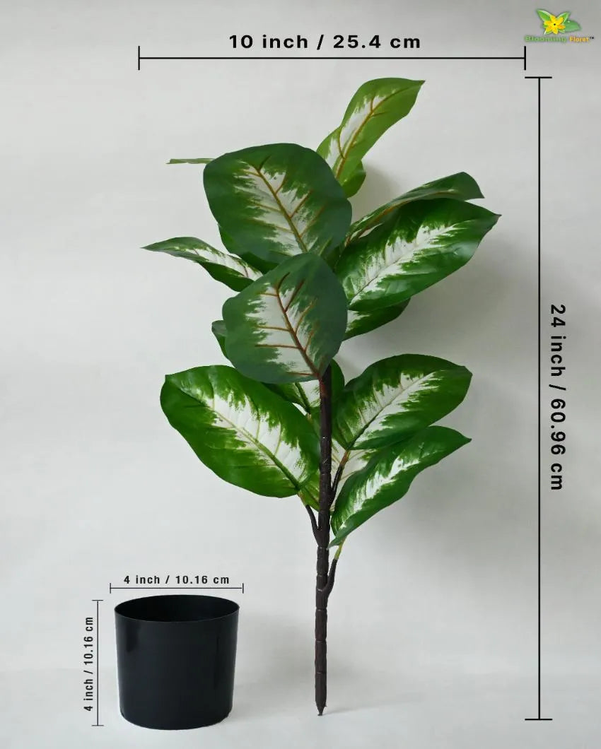 Camille Dieffenbachia Artificial Plant with Pot | 15 Leaves | 2 feet