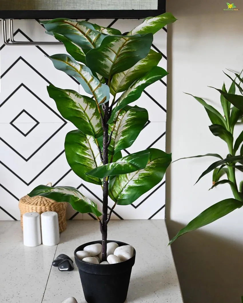 Camille Dieffenbachia Artificial Plant with Pot | 15 Leaves | 2 feet