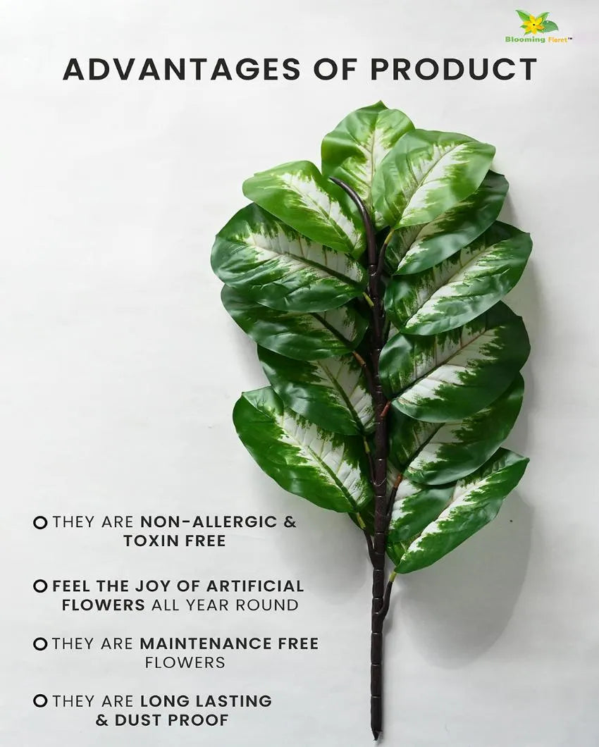 Camille Dieffenbachia Artificial Plant with Pot | 15 Leaves | 2 feet