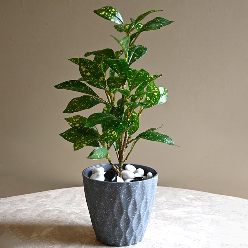 Modern Abstract Dark Grey Textured Planter Small Pot Without Plant | 6 x 5 inches