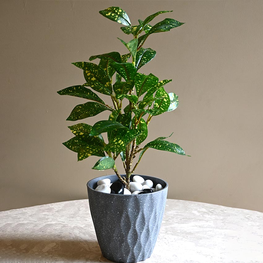Modern Abstract Dark Grey Textured Planter Small Pot Without Plant | 6 x 5 inches