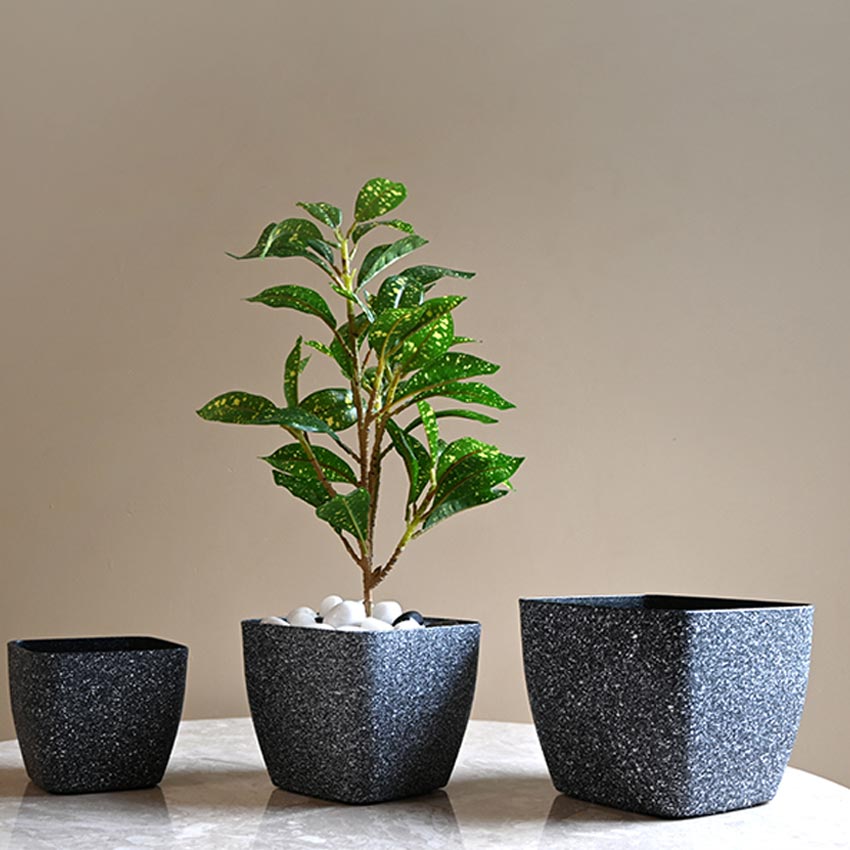 Majestic Dark Grey Textured Planter Square Medium Pot | 6 x 5 inches