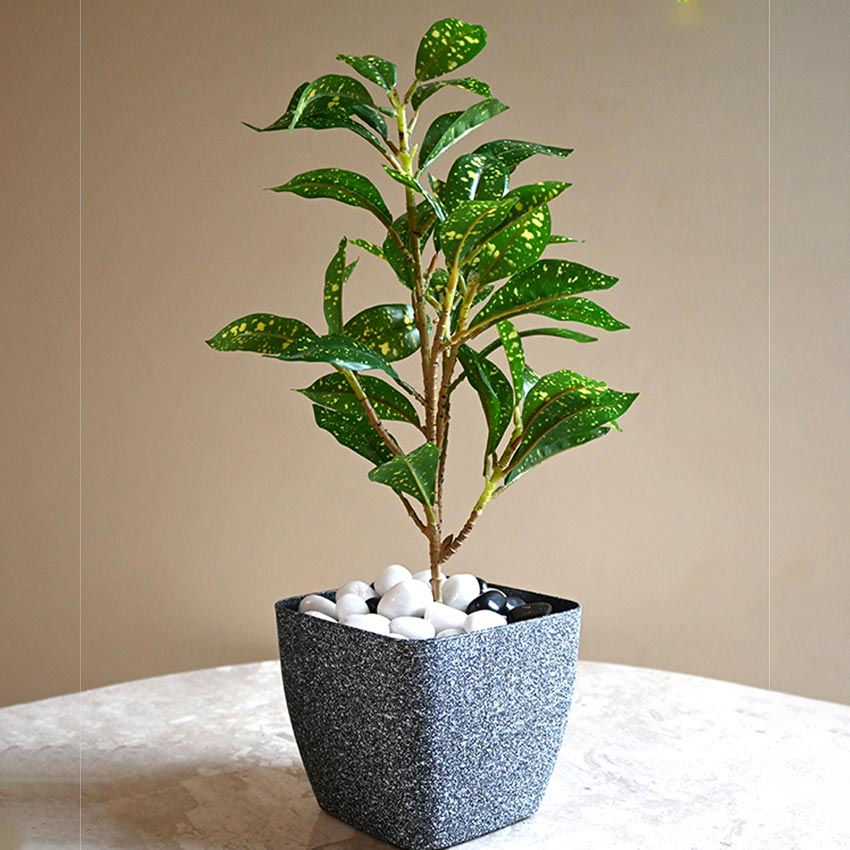 Majestic Dark Grey Textured Planter Square Medium Pot | 6 x 5 inches