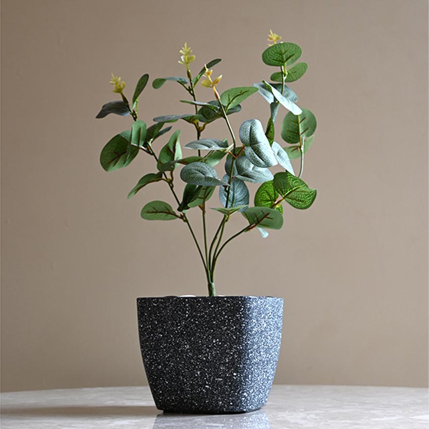 Majestic Dark Grey Textured Planter Square Large Pot Without Plant | 7 x 6 inches