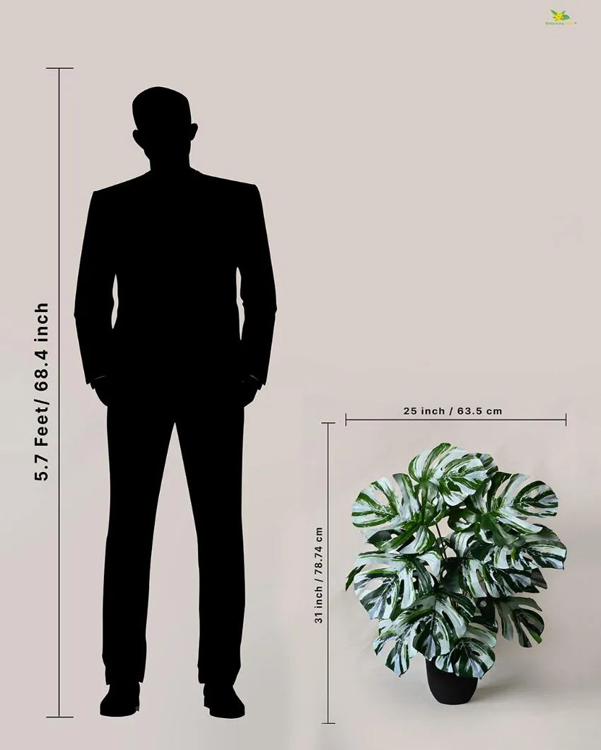 Durable Monstera Artificial Plant with Pot | 18 Leaves | 3 feet
