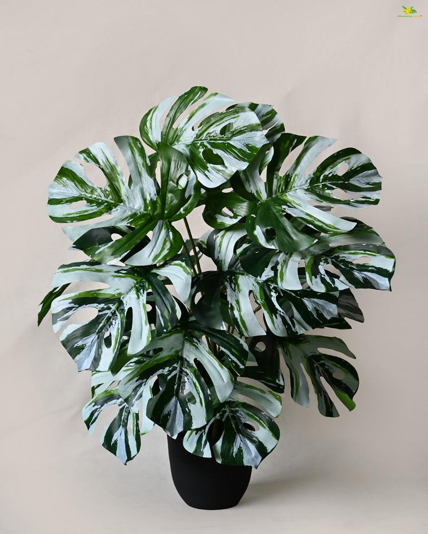 Durable Monstera Artificial Plant with Pot | 18 Leaves | 3 feet
