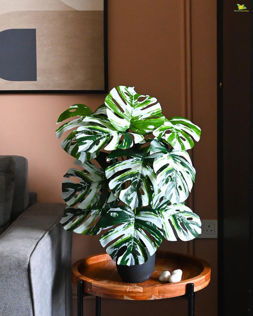 Durable Monstera Artificial Plant with Pot | 18 Leaves | 3 feet
