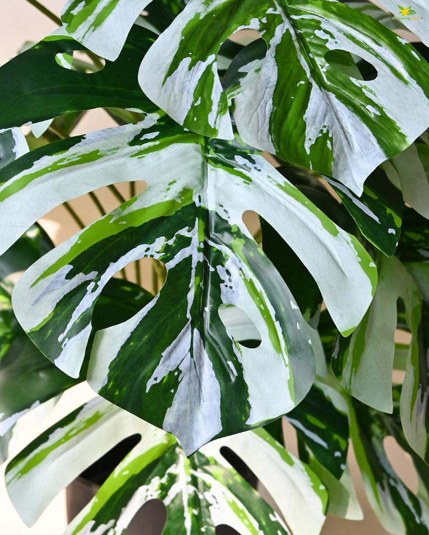 Durable Monstera Artificial Plant with Pot | 18 Leaves | 3 feet