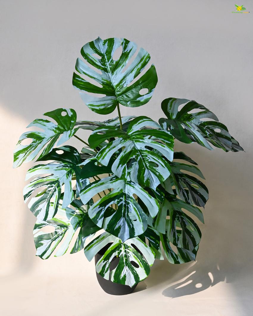 Durable Monstera Artificial Plant with Pot | 18 Leaves | 3 feet