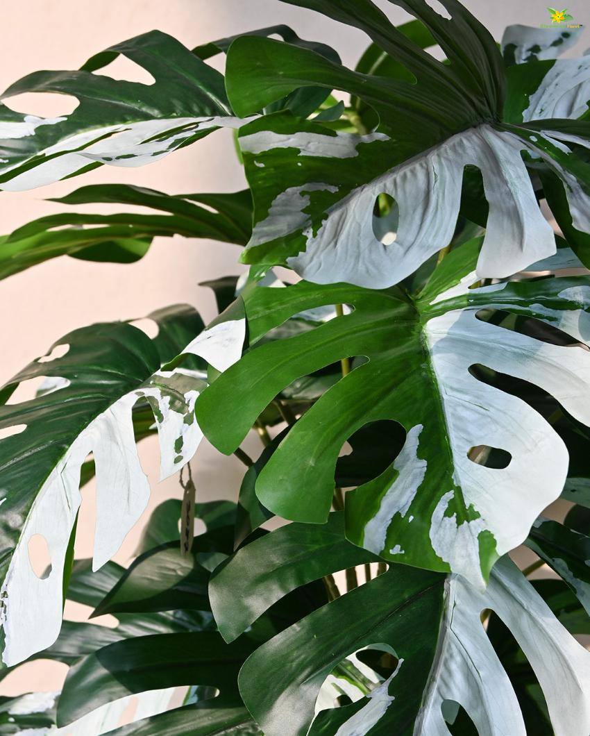 Artificial Monstera Plant with Pot | 18 Leaves | 2 feet