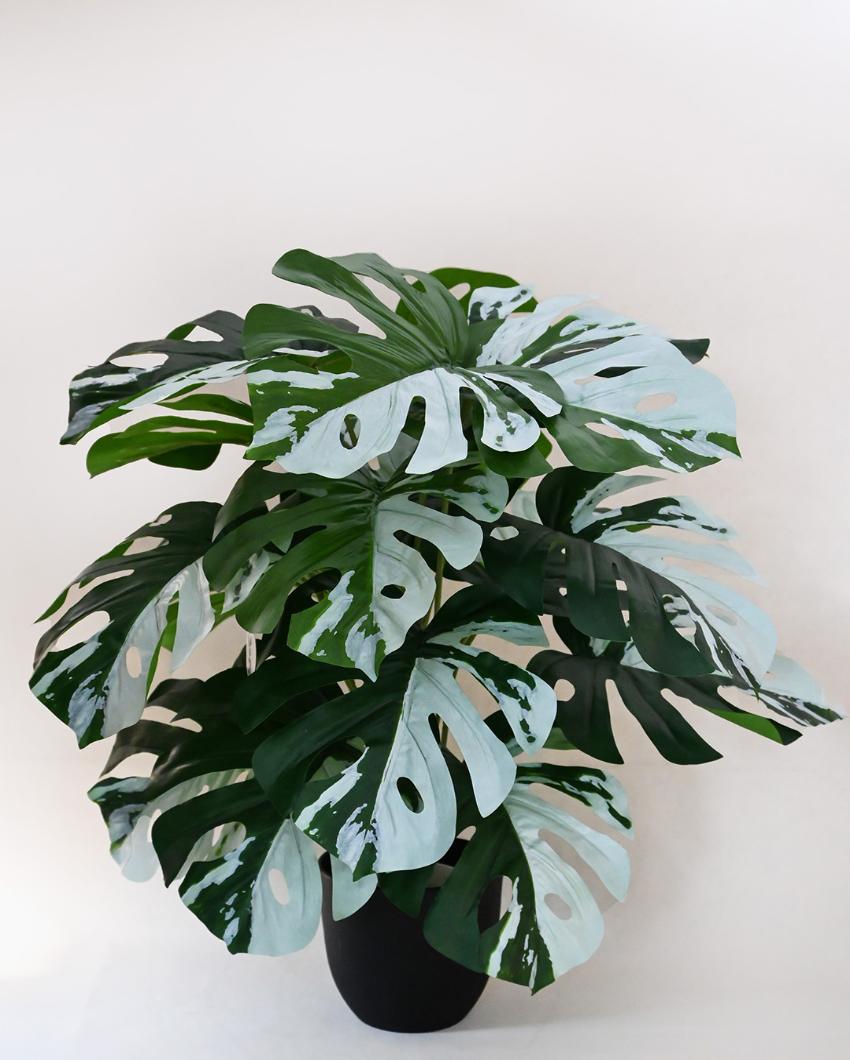 Artificial Monstera Plant with Pot | 18 Leaves | 2 feet