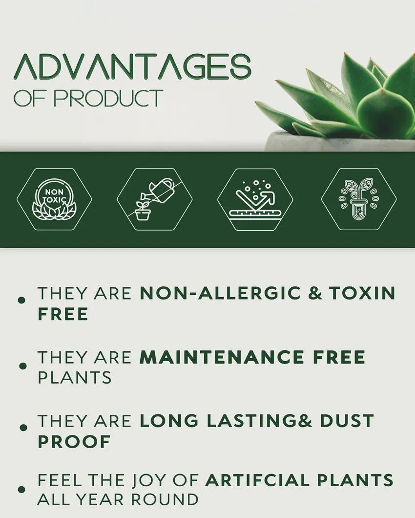 Artificial Monstera Plant with Pot | 18 Leaves | 2 feet