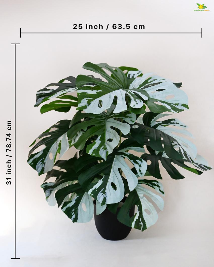 Artificial Monstera Plant with Pot | 18 Leaves | 2 feet