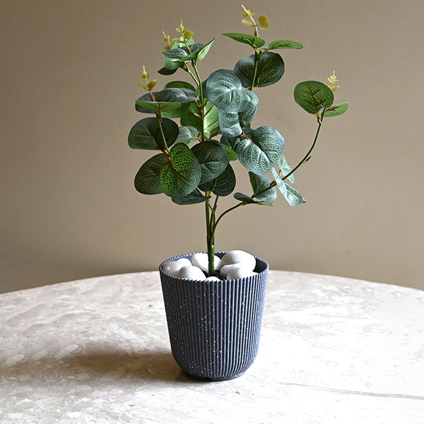 Ribbed Charcoal Black Planter Small Pot Set for Indoor Decor | 4 x 5 inches