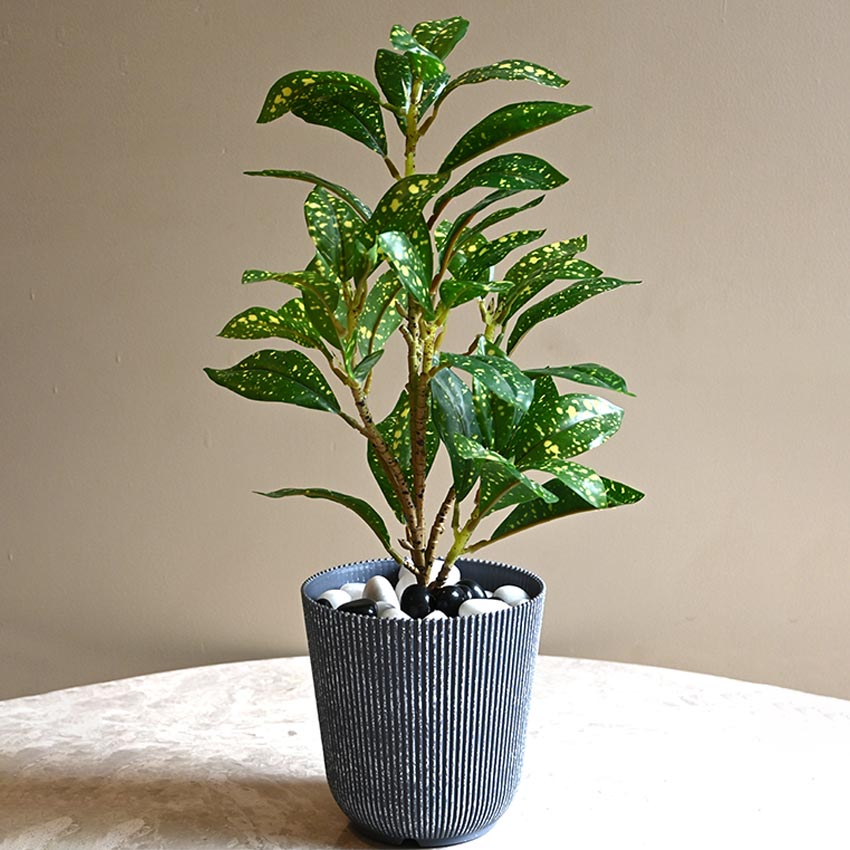 Ribbed Charcoal Black Planter Small Pot Set for Indoor Decor | 4 x 5 inches