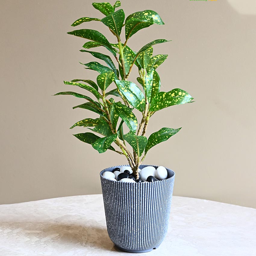 Ribbed Charcoal Black Planter Small Pot Set for Indoor Decor | 4 x 5 inches