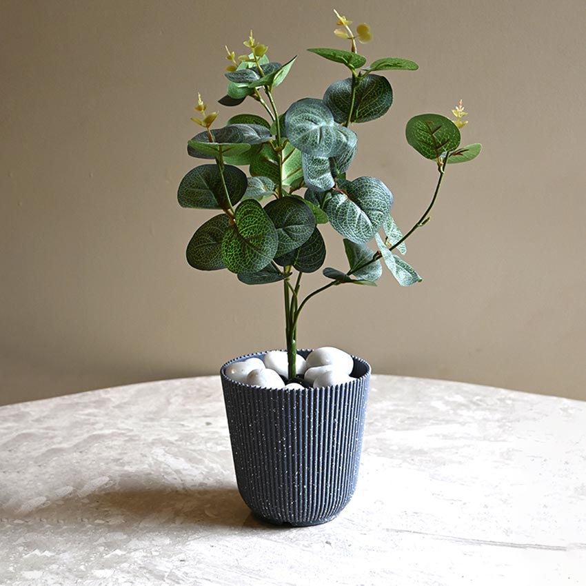 Ribbed Charcoal Black Planter Small Pot Set for Indoor Decor | 4 x 5 inches