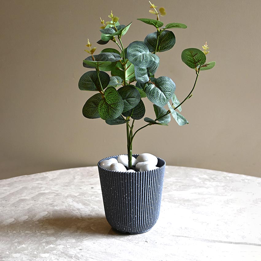 Ribbed Charcoal Black Planter Small Pot Set for Indoor Decor | 4 x 5 inches