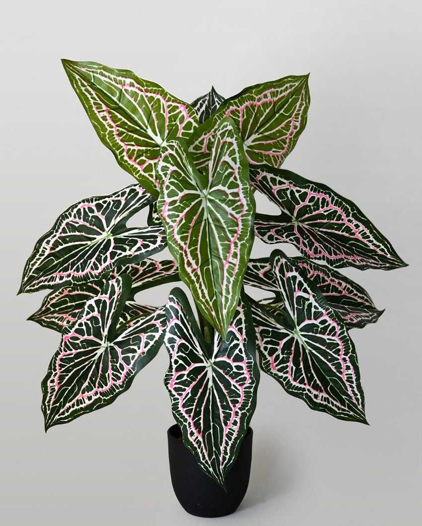 Dazzling Artificial Polyester Caladium Plant With Basic Black Pot | 12 Leaves With Web Pattern | 3 Ft