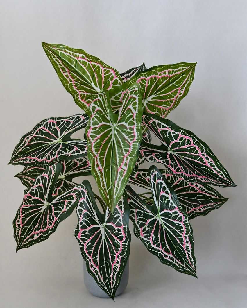 Dazzling Artificial Polyester Caladium Plant With Basic Black Pot | 12 Leaves With Web Pattern | 3 Ft