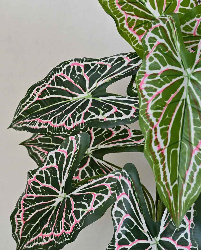 Dazzling Artificial Polyester Caladium Plant With Basic Black Pot | 12 Leaves With Web Pattern | 3 Ft