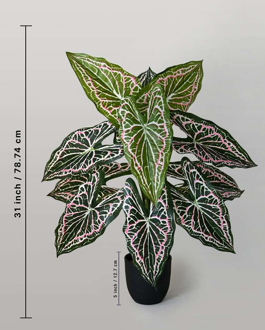 Dazzling Artificial Polyester Caladium Plant With Basic Black Pot | 12 Leaves With Web Pattern | 3 Ft