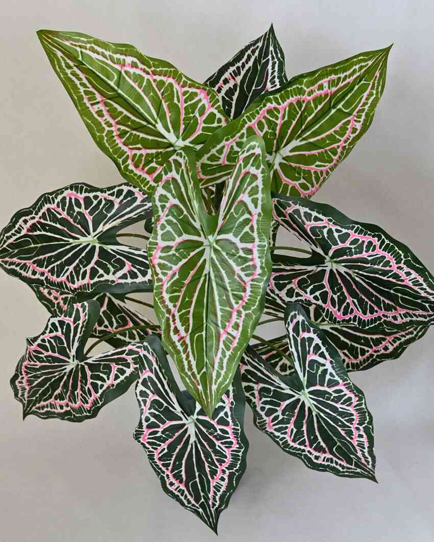 Dazzling Artificial Polyester Caladium Plant With Basic Black Pot | 12 Leaves With Web Pattern | 3 Ft