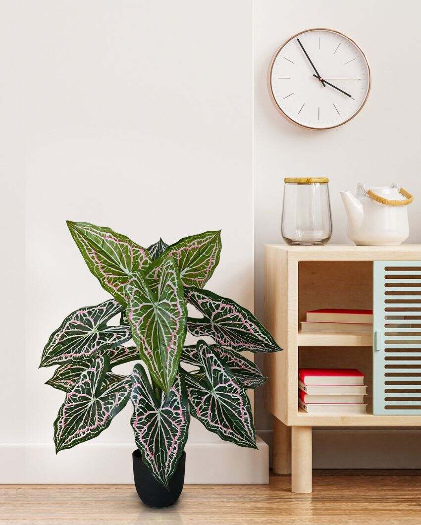 Dazzling Artificial Polyester Caladium Plant With Basic Black Pot | 12 Leaves With Web Pattern | 3 Ft