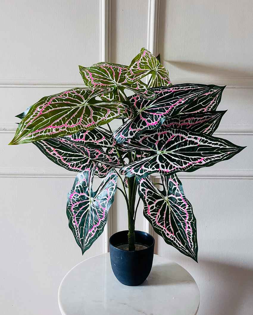 Dazzling Artificial Polyester Caladium Plant With Basic Black Pot | 12 Leaves With Web Pattern | 3 Ft