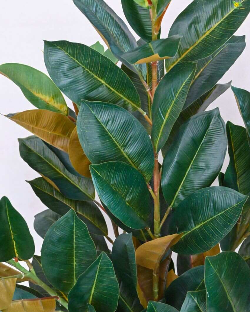 Polyester Rubber Plant With Black Pot | 104 Light Green Leaves | 3 Ft