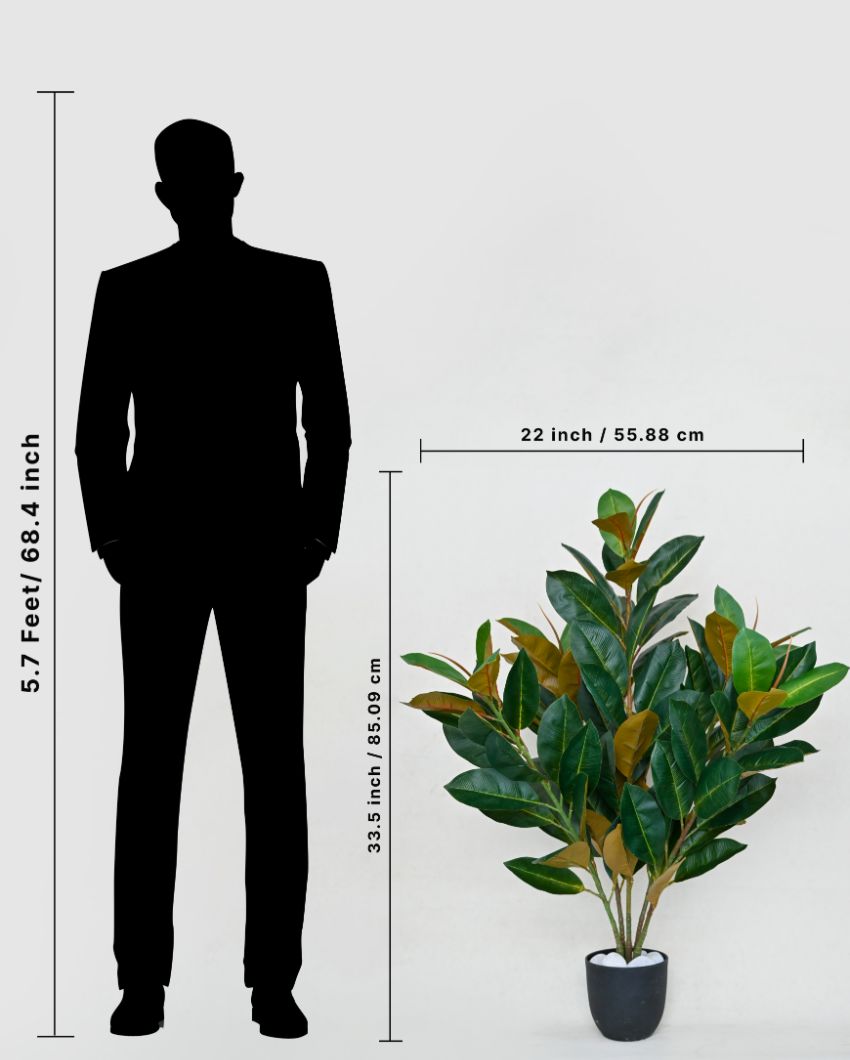 Polyester Rubber Plant With Black Pot | 104 Light Green Leaves | 3 Ft