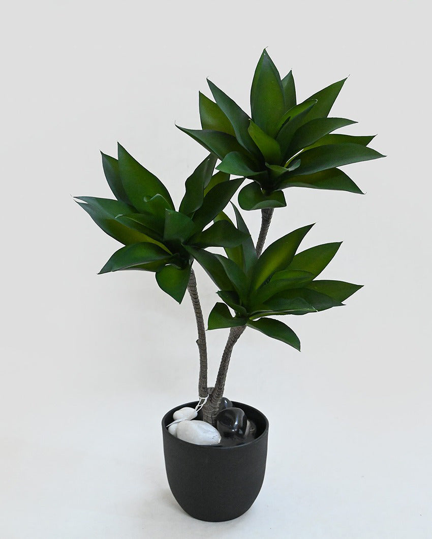 Greenery Artificial Foxtail Agave Plant with Basic Black Pot | 2 Feet