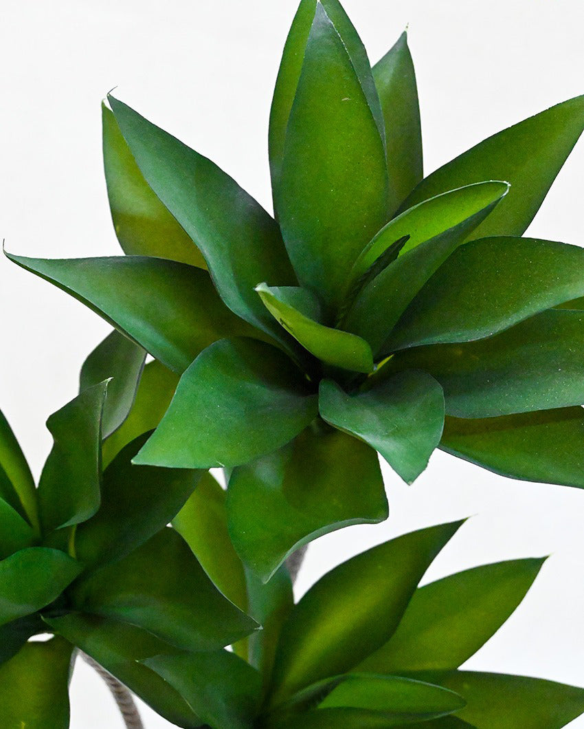 Greenery Artificial Foxtail Agave Plant with Basic Black Pot | 2 Feet