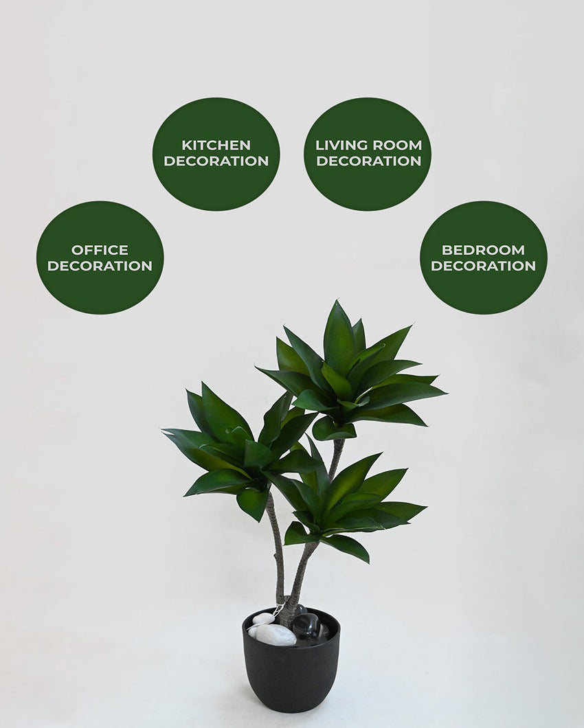 Greenery Artificial Foxtail Agave Plant with Basic Black Pot | 2 Feet