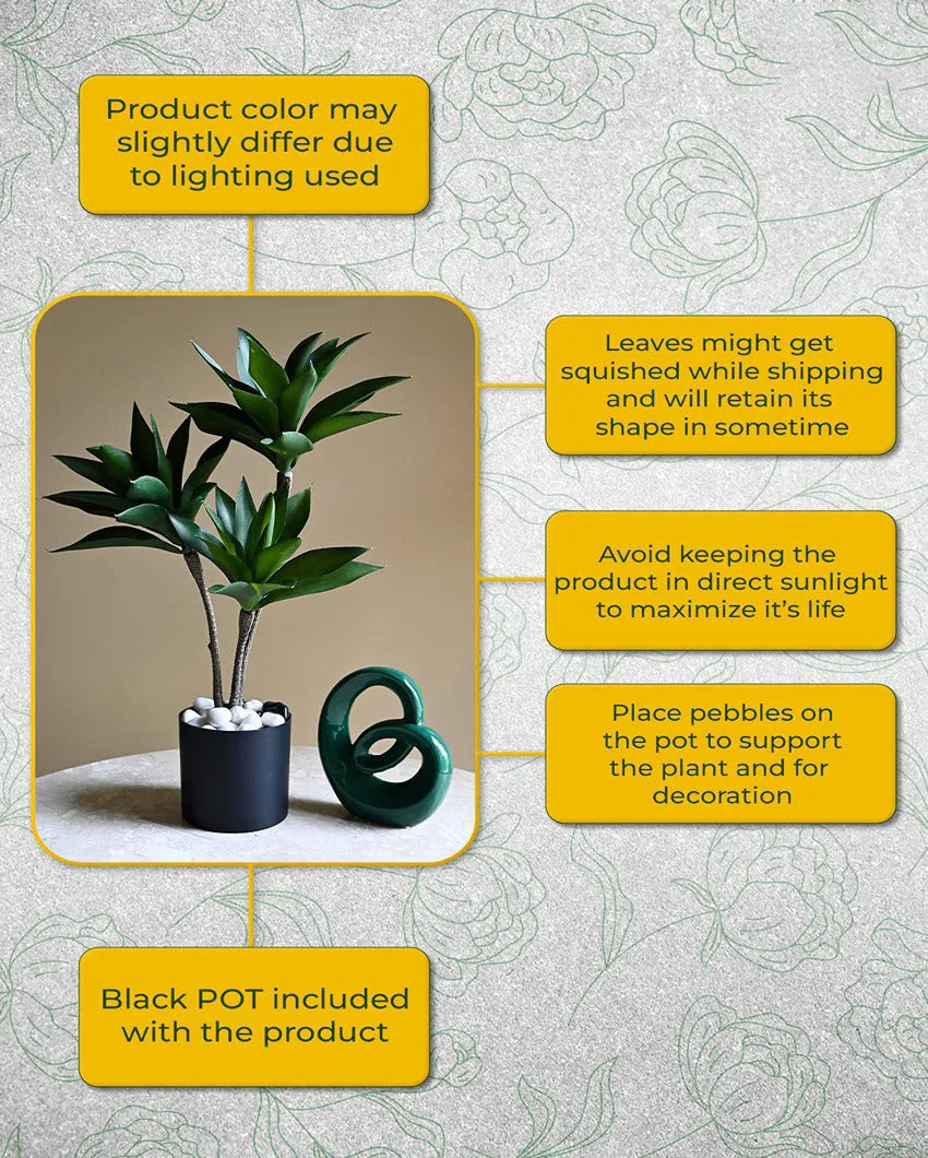 Greenery Artificial Foxtail Agave Plant with Basic Black Pot | 2 Feet
