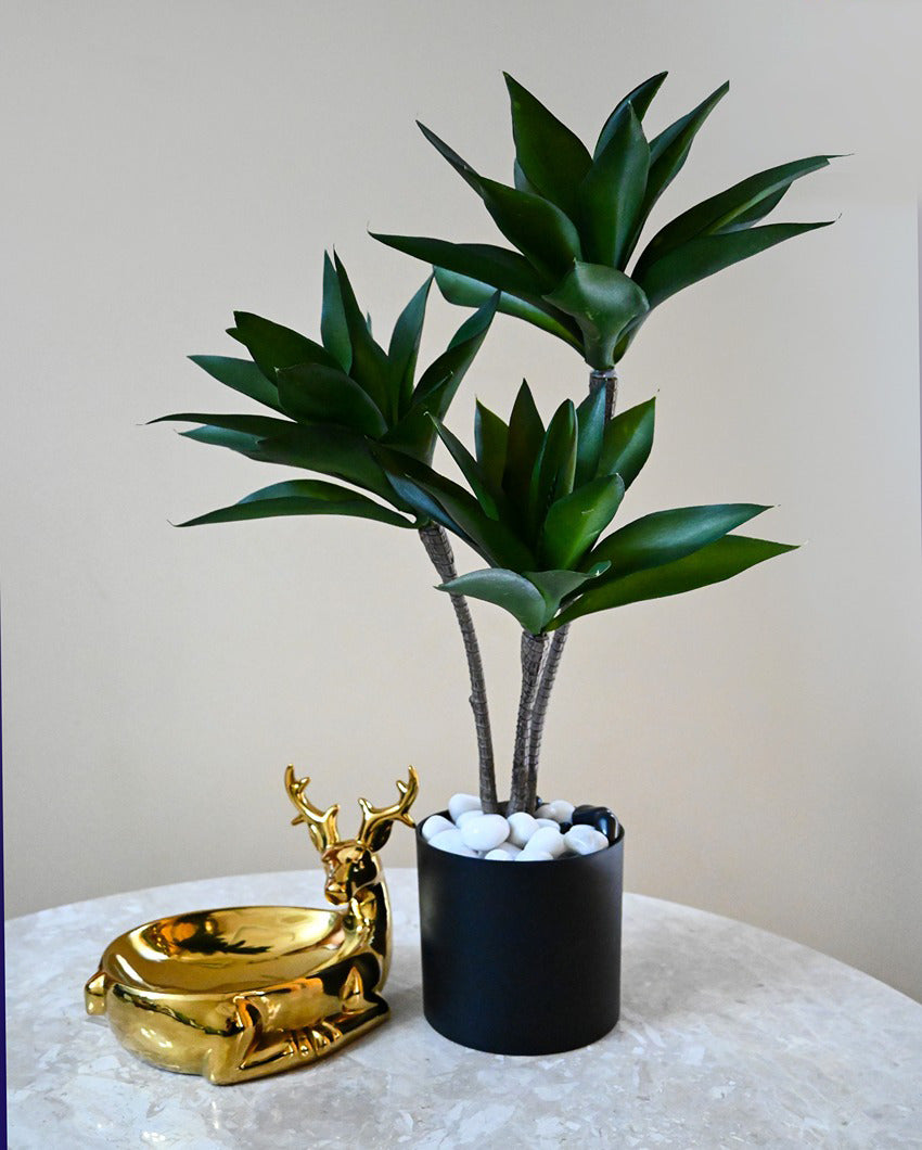 Greenery Artificial Foxtail Agave Plant with Basic Black Pot | 2 Feet