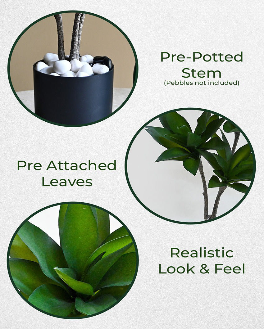 Greenery Artificial Foxtail Agave Plant with Basic Black Pot | 2 Feet