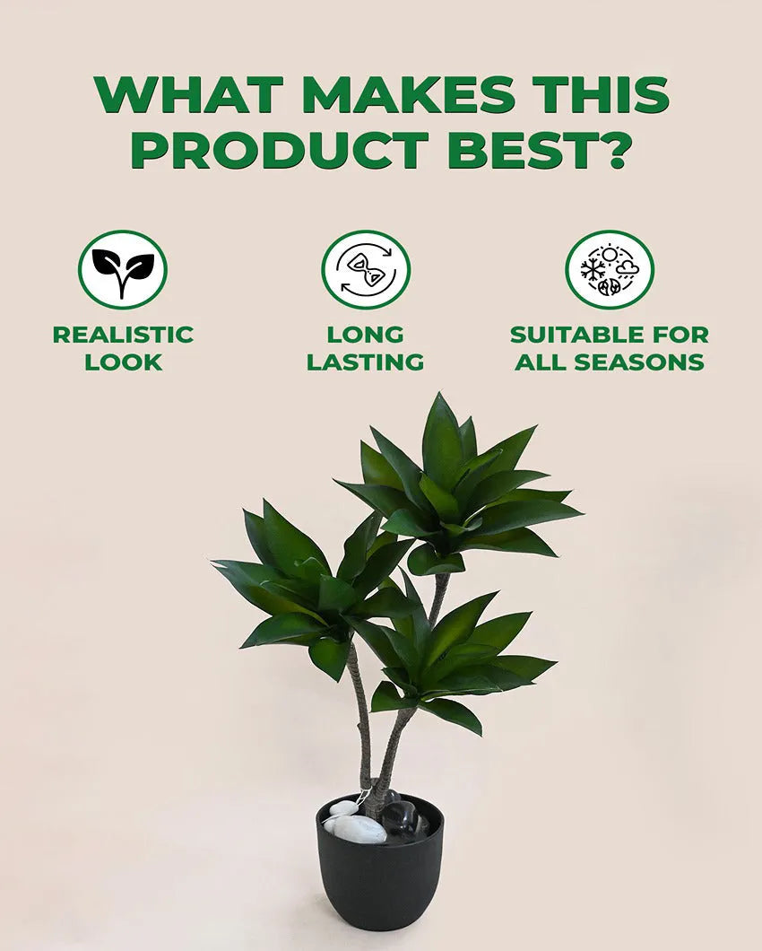 Greenery Artificial Foxtail Agave Plant with Basic Black Pot | 2 Feet