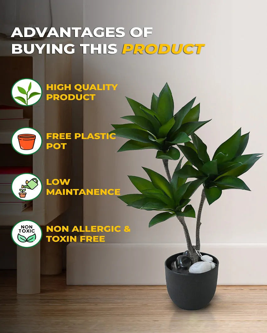 Greenery Artificial Foxtail Agave Plant with Basic Black Pot | 2 Feet