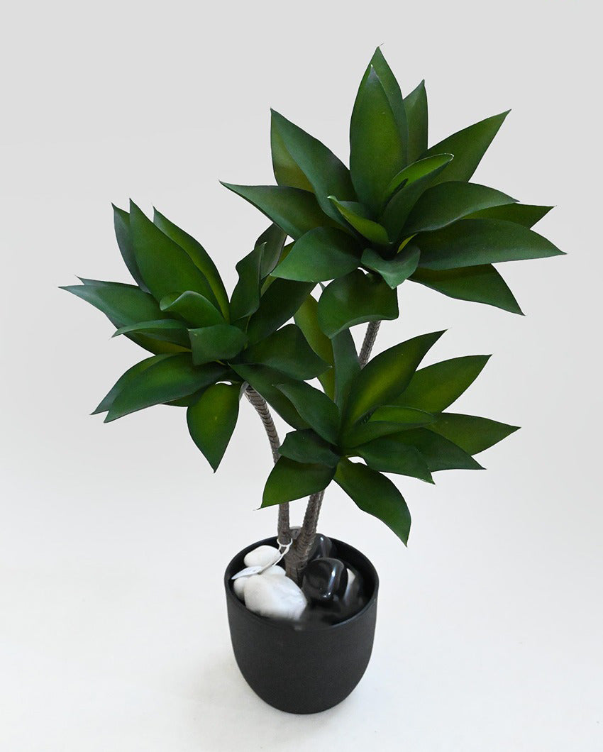 Greenery Artificial Foxtail Agave Plant with Basic Black Pot | 2 Feet