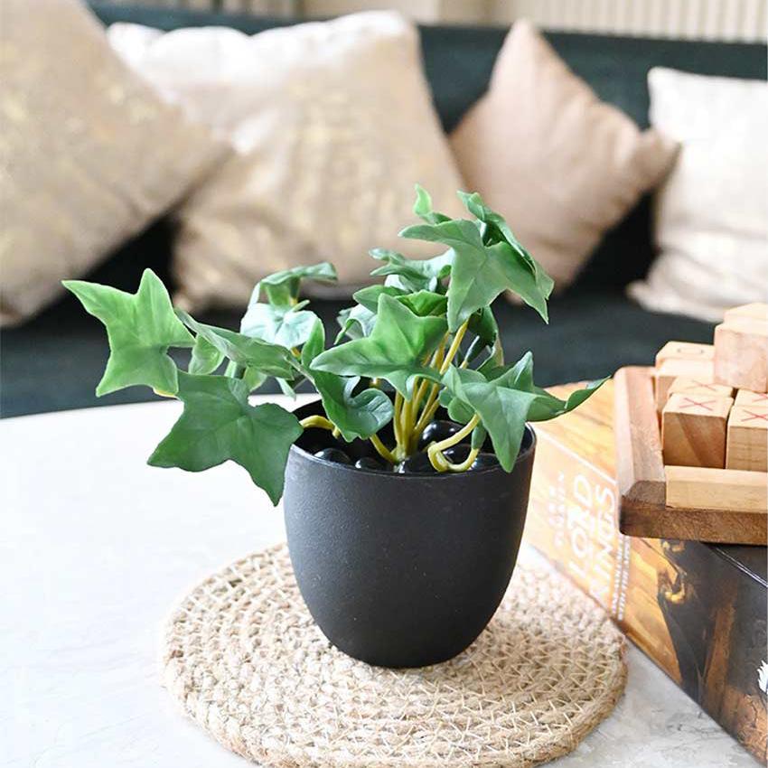 Lifelike Artificial Ivy Plant with Basic Pot | 6 inches