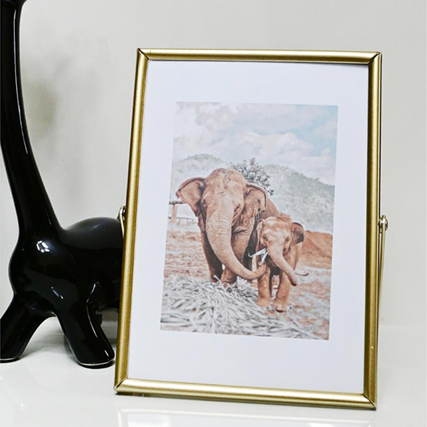 Timeless Charm Golden Framed Elephant Photo