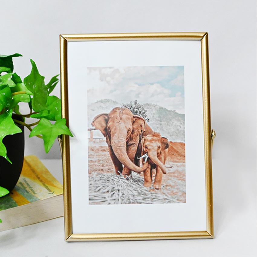 Timeless Charm Golden Framed Elephant Photo