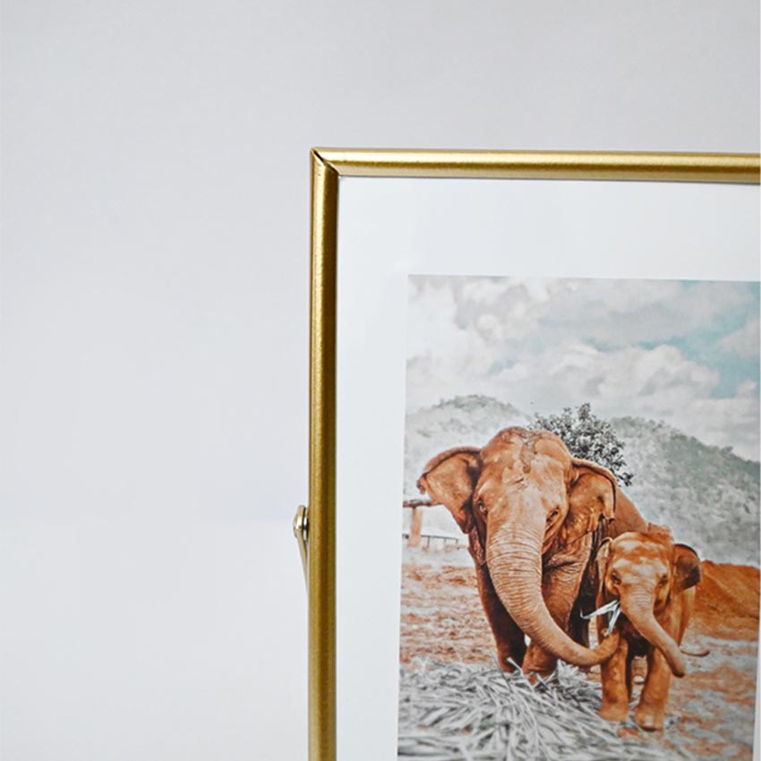Timeless Charm Golden Framed Elephant Photo