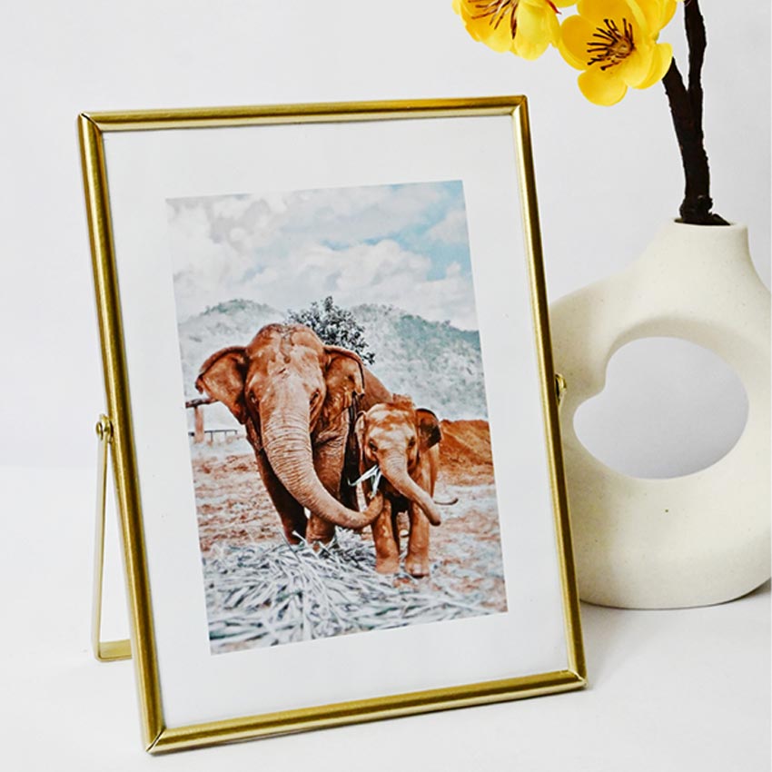 Timeless Charm Golden Framed Elephant Photo