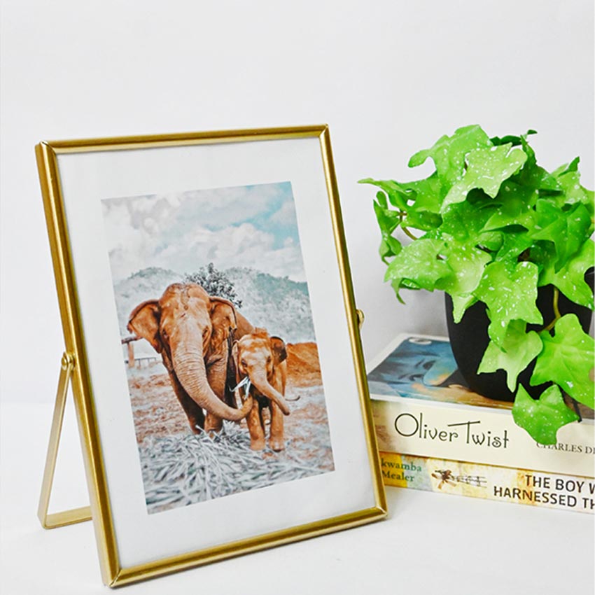 Timeless Charm Golden Framed Elephant Photo