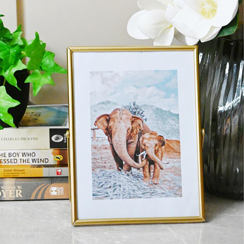 Timeless Charm Golden Framed Elephant Photo